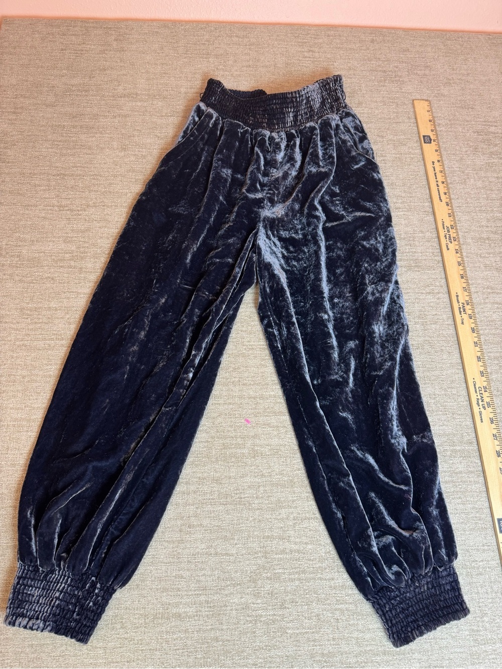Anthropologie  Velvet Jogger Pants - Navy